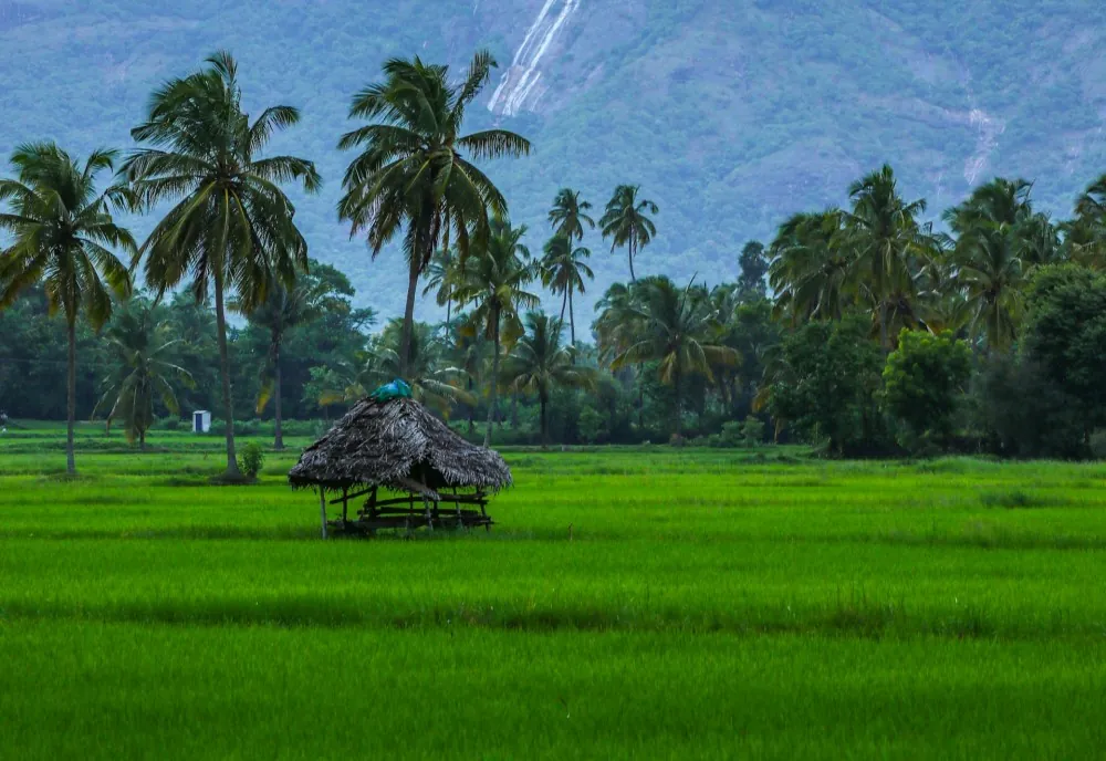 Unseen Village of Hiriwadunna